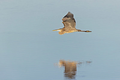 BUITEN BEELD Foto: 420721