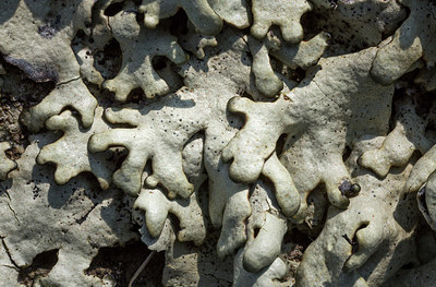 BUITEN BEELD Foto: 420776