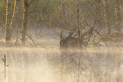 BUITEN BEELD Foto: 420836