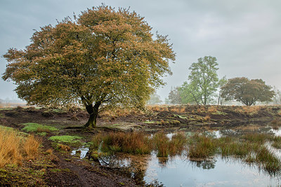 BUITEN BEELD Foto: 420838