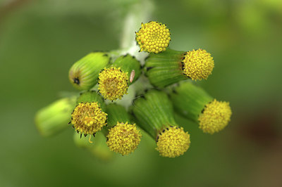 BUITEN BEELD Foto: 420852