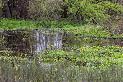 BUITEN BEELD Foto: 420862