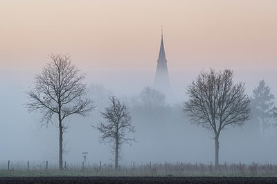 BUITEN BEELD Foto: 420871