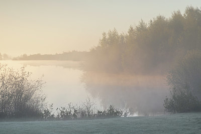 BUITEN BEELD Foto: 420872