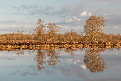 BUITEN BEELD Foto: 420881