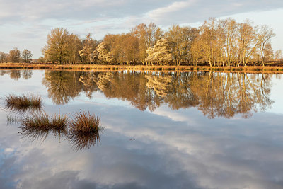 BUITEN BEELD Foto: 420882