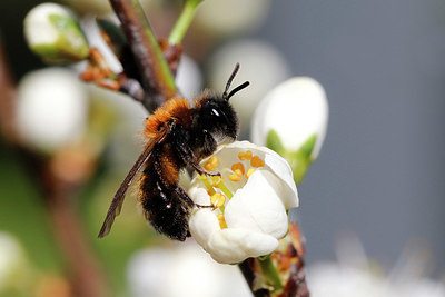 BUITEN BEELD Foto: 420886