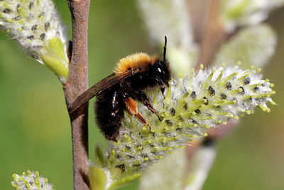 BUITEN BEELD Foto: 420895