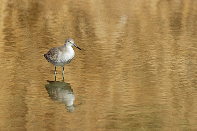 BUITEN BEELD Foto: 421298