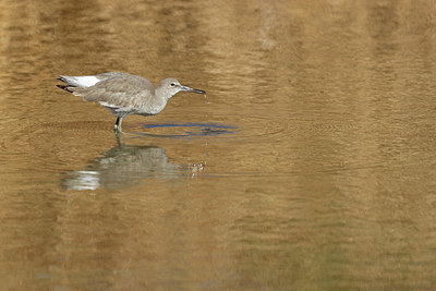 BUITEN BEELD Foto: 421299