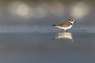 BUITEN BEELD Foto: 421351