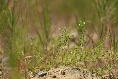 BUITEN BEELD Foto: 421360