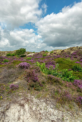 BUITEN BEELD Foto: 421418