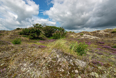 BUITEN BEELD Foto: 421420