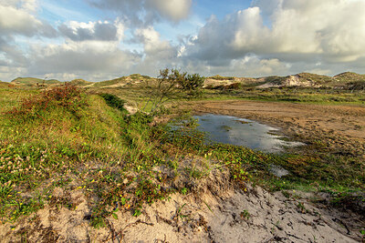 BUITEN BEELD Foto: 421518