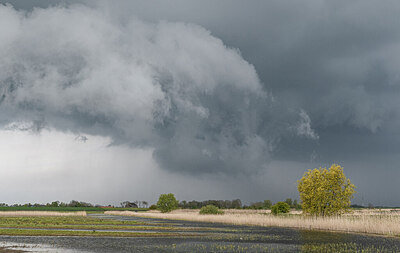 BUITEN BEELD Foto: 421536