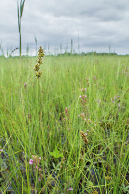 BUITEN BEELD Foto: 421547