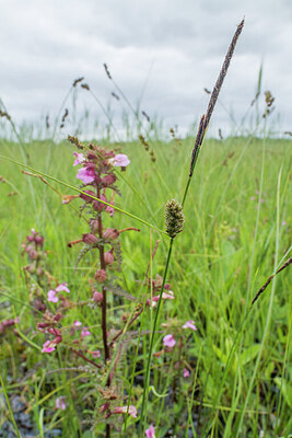 BUITEN BEELD Foto: 421549