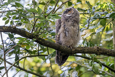 BUITEN BEELD Foto: 421589