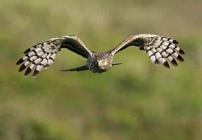 BUITEN BEELD Foto: 421594