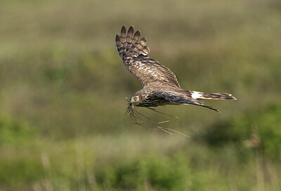 BUITEN BEELD Foto: 421598