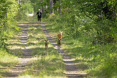 BUITEN BEELD Foto: 421625