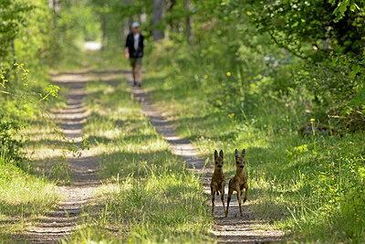 BUITEN BEELD Foto: 421632