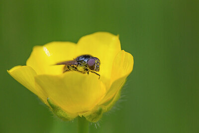 BUITEN BEELD Foto: 421678