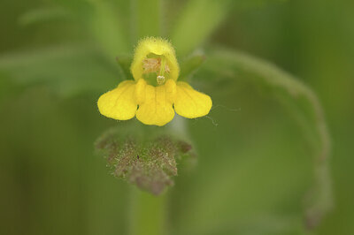 BUITEN BEELD Foto: 421704