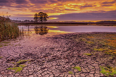 BUITEN BEELD Foto: 421751