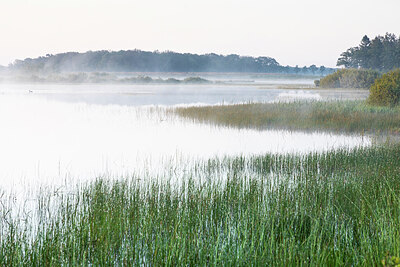 BUITEN BEELD Foto: 421753