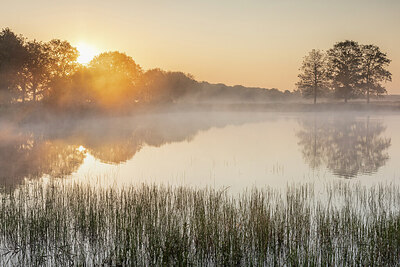 BUITEN BEELD Foto: 421754