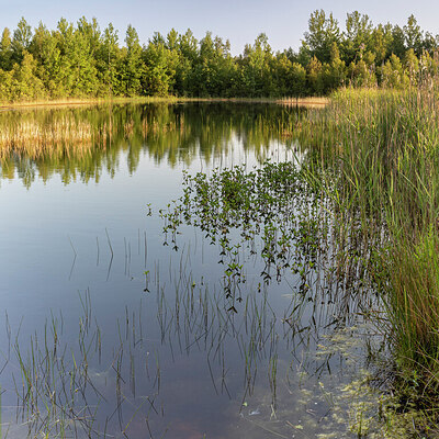 BUITEN BEELD Foto: 421759