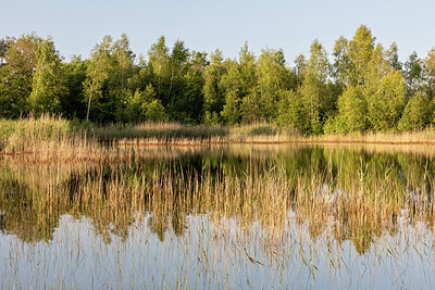 BUITEN BEELD Foto: 421761