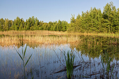 BUITEN BEELD Foto: 421765