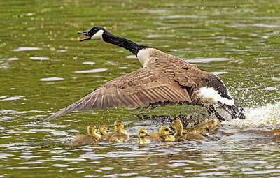 BUITEN BEELD Foto: 421844