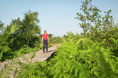 BUITEN BEELD Foto: 421855