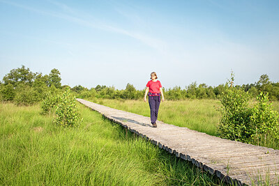 BUITEN BEELD Foto: 421856