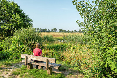 BUITEN BEELD Foto: 421858