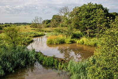 BUITEN BEELD Foto: 421913