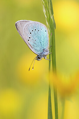 BUITEN BEELD Foto: 422046