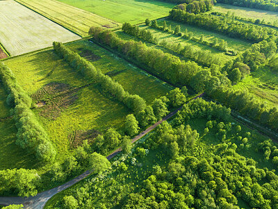 BUITEN BEELD Foto: 422054