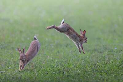 BUITEN BEELD Foto: 422090