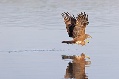 BUITEN BEELD Foto: 422117