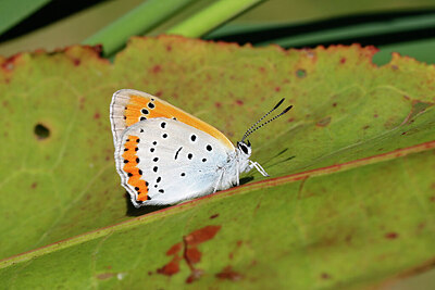 BUITEN BEELD Foto: 422243