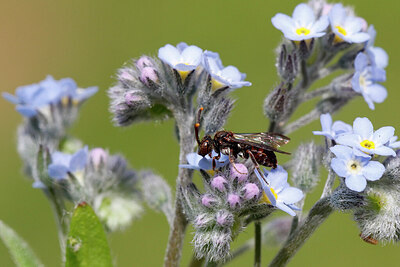 BUITEN BEELD Foto: 422334