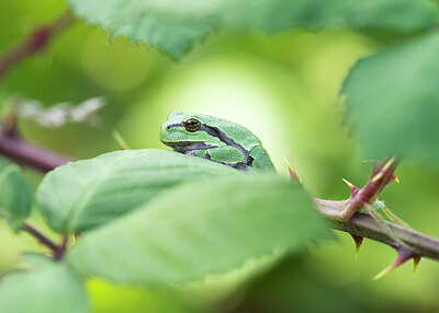 BUITEN BEELD Foto: 422351