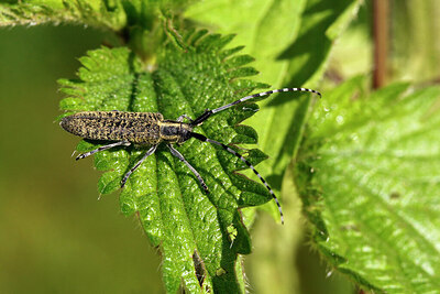 BUITEN BEELD Foto: 422377