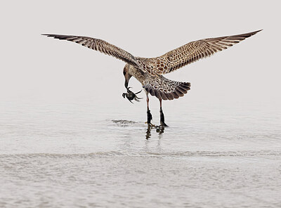 BUITEN BEELD Foto: 422433