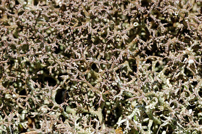 BUITEN BEELD Foto: 422455